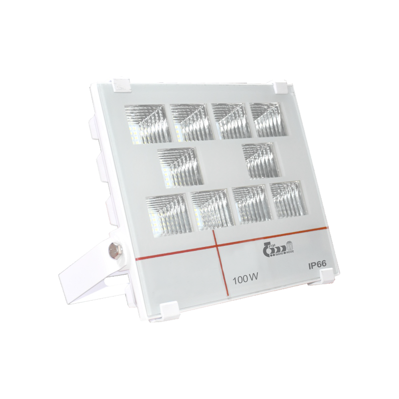 LED FLOOD LIGHT TOLOE 100W