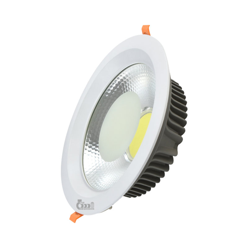 LED COB DOWN LIGHT 50W